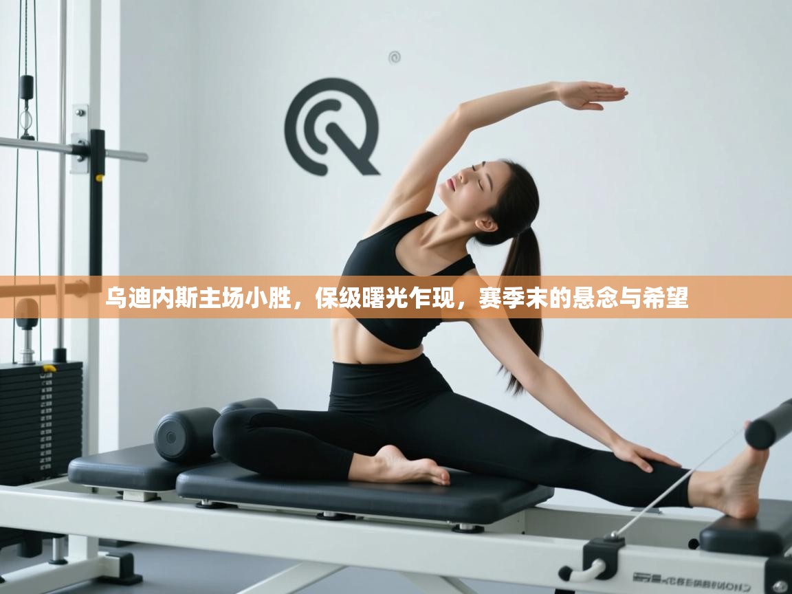 乌迪内斯主场小胜,保级曙光乍现,赛季末的悬念与希望 第2张