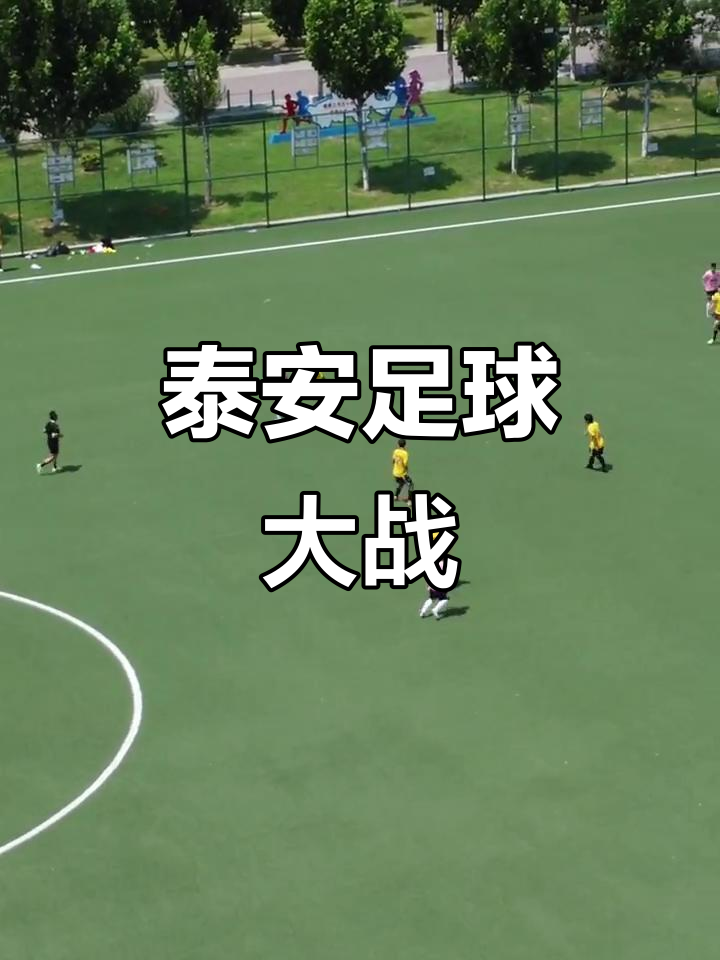 开云体育app下载-精彩纷呈的足球盛事：东亚球队争先恐后的简单介绍