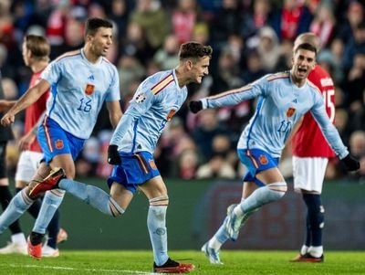 四川金强队击败辽宁队取得关键胜利 四川金强队击败辽宁队取得关键胜利