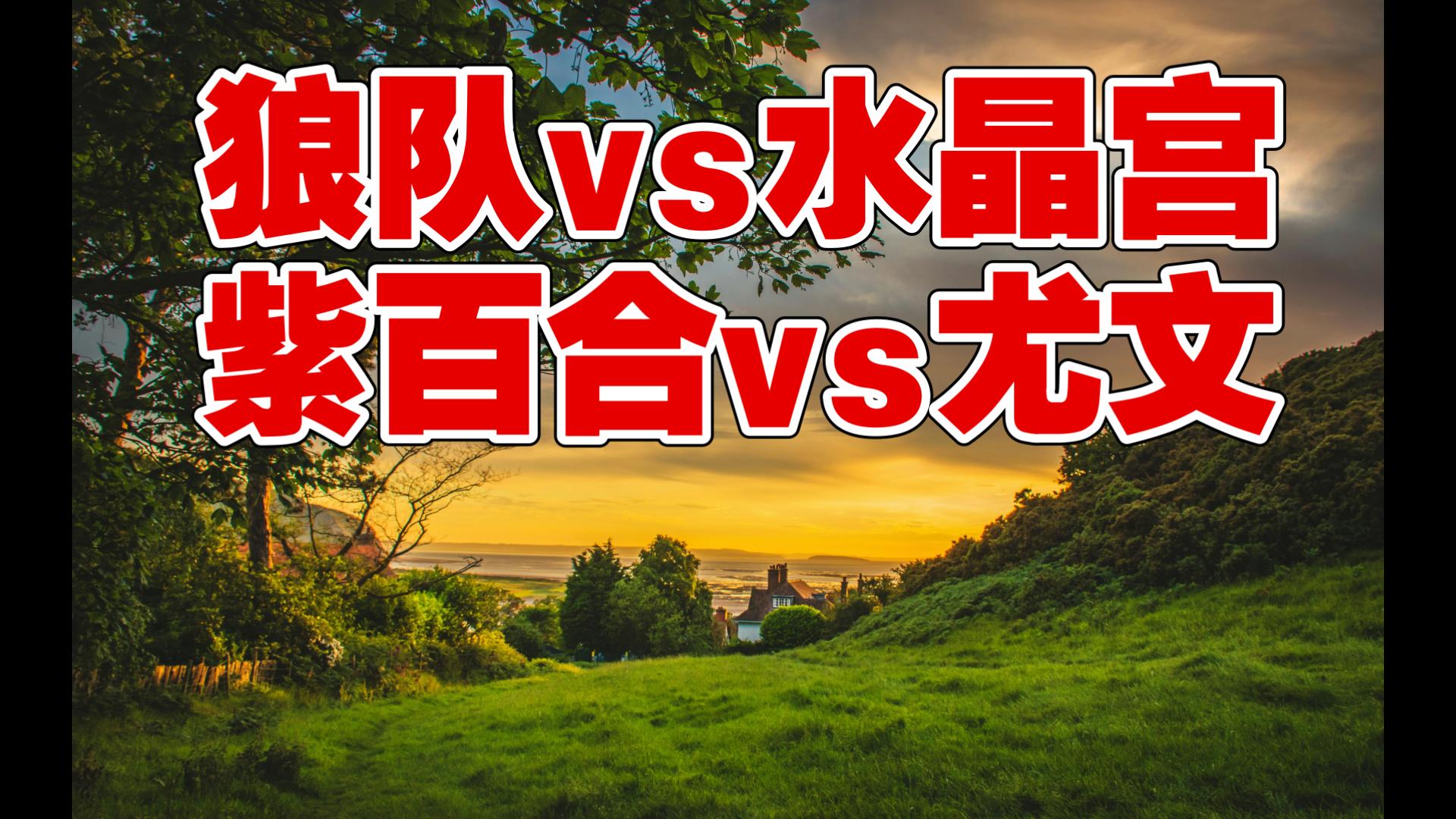 狼队决心击败水晶宫,争取积分的简单介绍 狼队决心击败水晶宫,争取积分的简单介绍